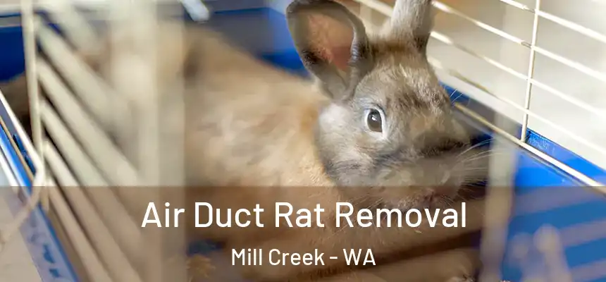  Air Duct Rat Removal Mill Creek - WA