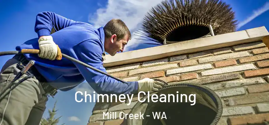  Chimney Cleaning Mill Creek - WA