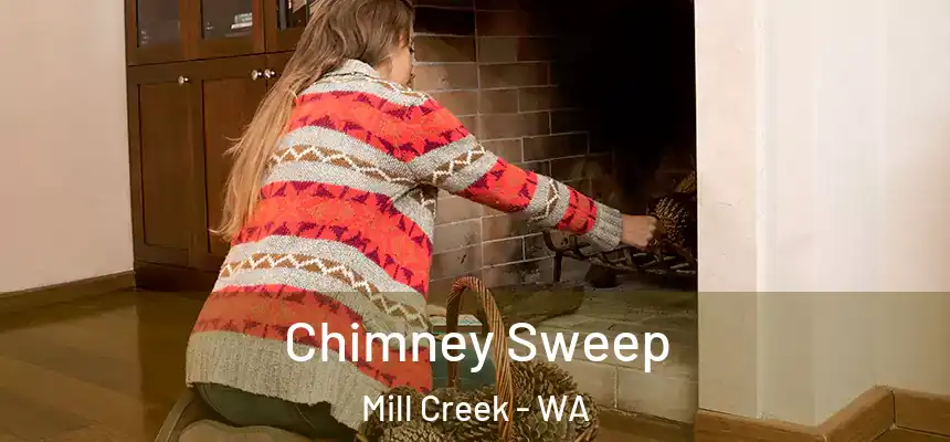  Chimney Sweep Mill Creek - WA