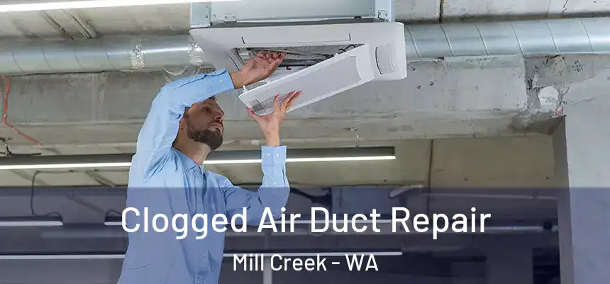  Clogged Air Duct Repair Mill Creek - WA
