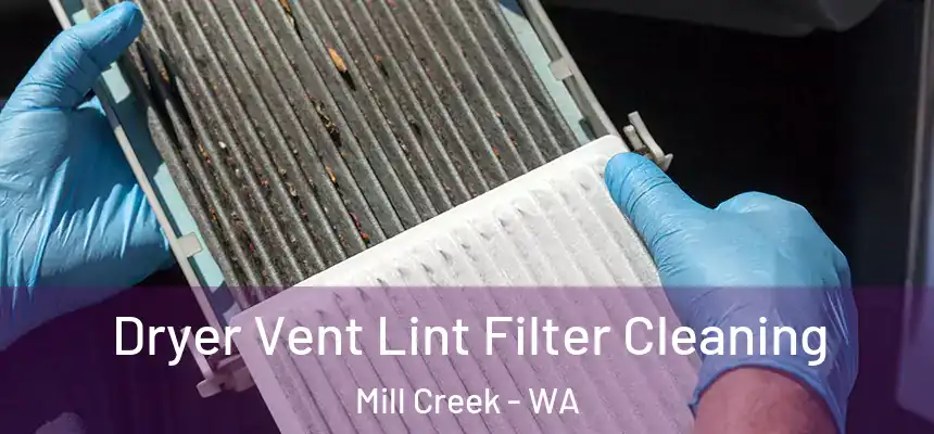  Dryer Vent Lint Filter Cleaning Mill Creek - WA