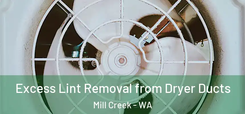  Excess Lint Removal from Dryer Ducts Mill Creek - WA