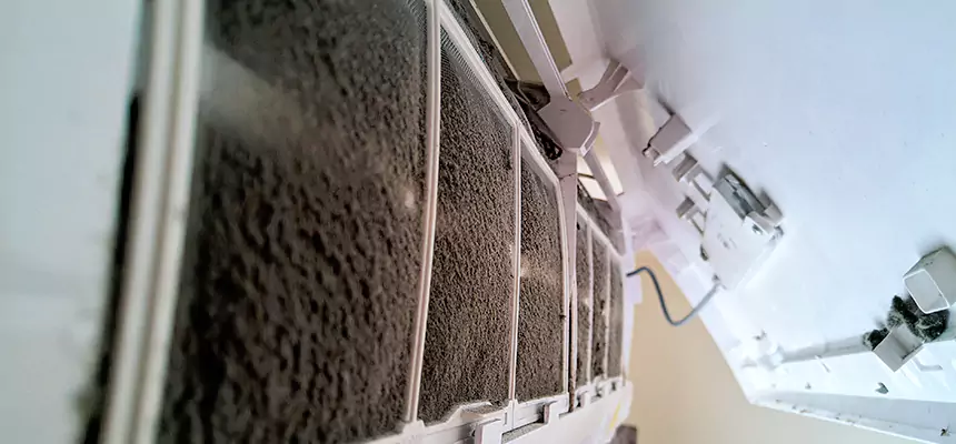 Preventive Air Duct Bacteria Removal in Mill Creek