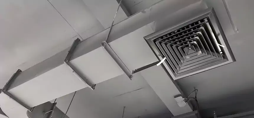 Restorative Allergy Relief Vent Cleaning – Coil, Blower & Housing Detail in Mill Creek