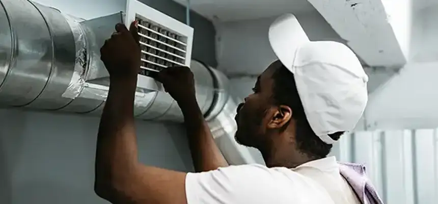 Our Licensed And Insured Cleaners in Mill Creek, WA