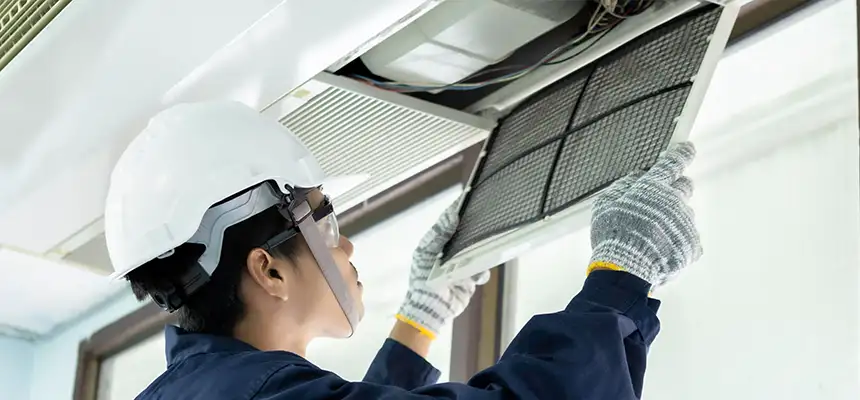 Our Lint Trap Cleaning Service Services in Mill Creek, WA