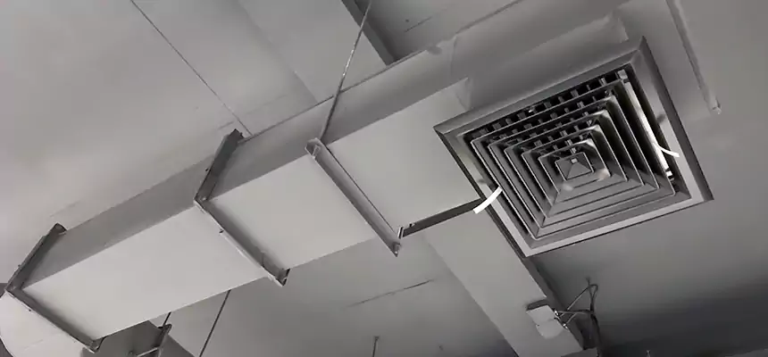 Our Pest Removal From Ducts Services in Mill Creek, WA