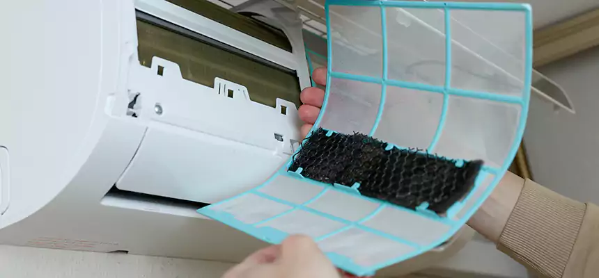 Gentle Ductwork Odor-Control Pet Dander Duct Cleaning in Mill Creek, WA