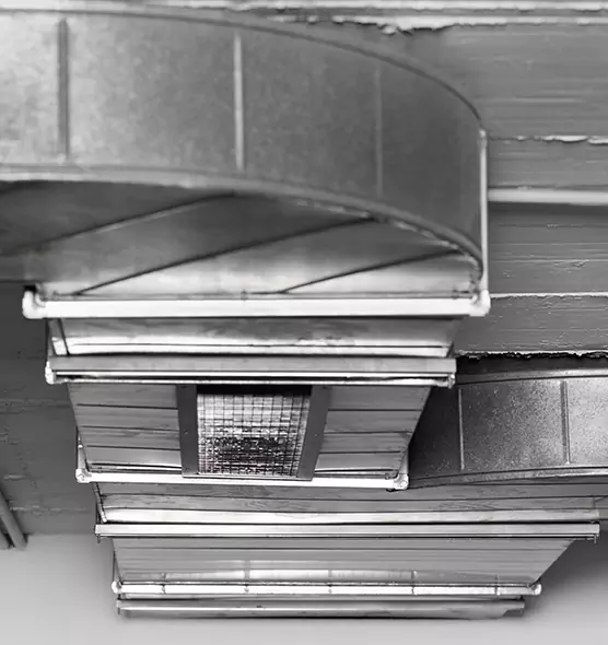 Professional Air Duct Pet Hair Removal in Mill Creek, WA