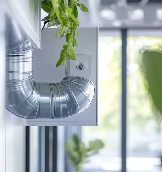 Professional Eco-Friendly Duct Cleaning Services in Mill Creek, WA