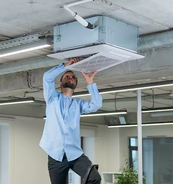 Advanced Rodent Droppings In Vents in Mill Creek, WA