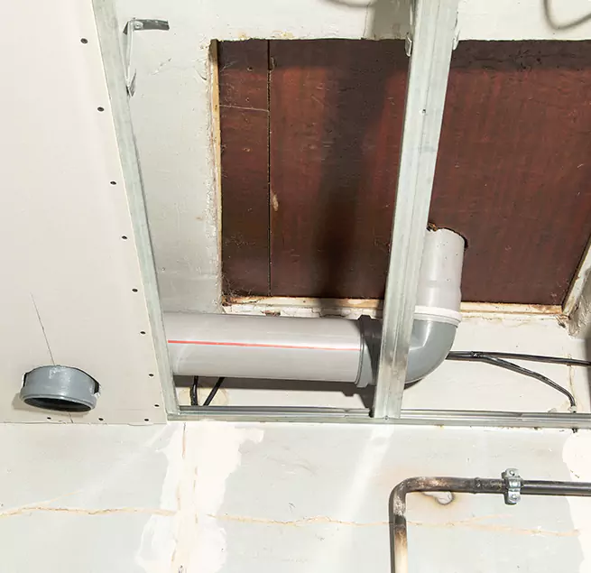 Why Homeowners & Businesses Trust Us in Mill Creek, WA?