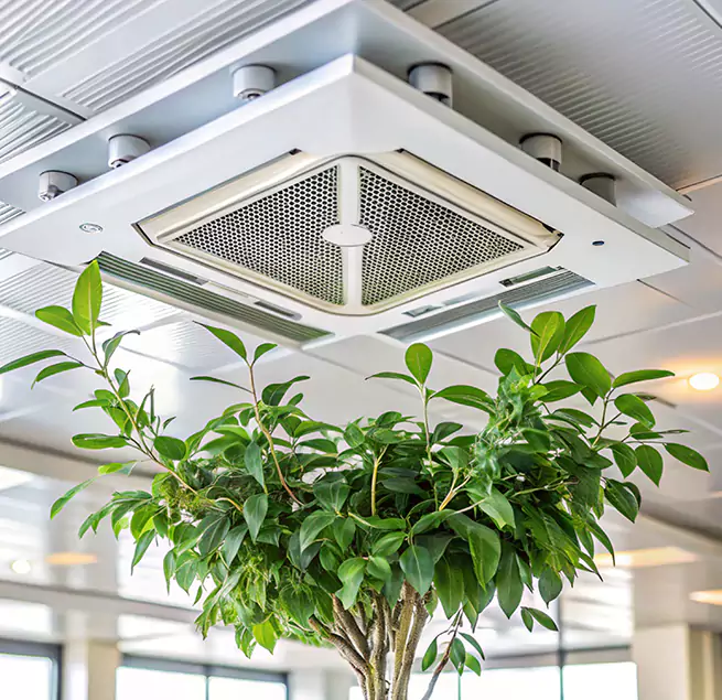 Why Homeowners & Businesses Trust Us in Mill Creek, WA?