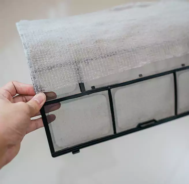 Why Homeowners & Businesses Trust Us in Mill Creek, WA?