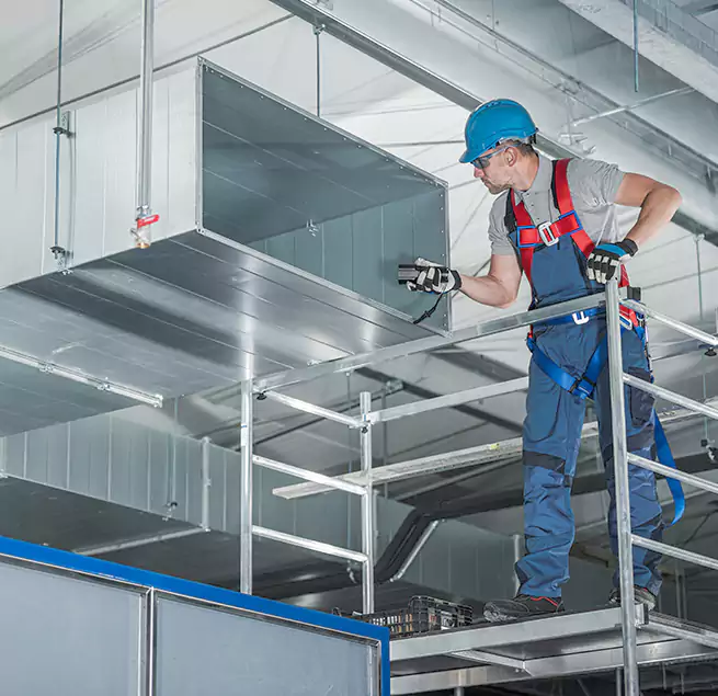 Why Homeowners Businesses Trust Us in Mill Creek, WA