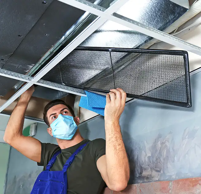 Why Homeowners & Businesses Trust Us in Mill Creek, WA?